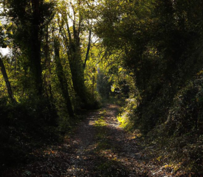 La signification du chemin de vie 7 en numérologie : révélez votre nature introspective et spirituelle