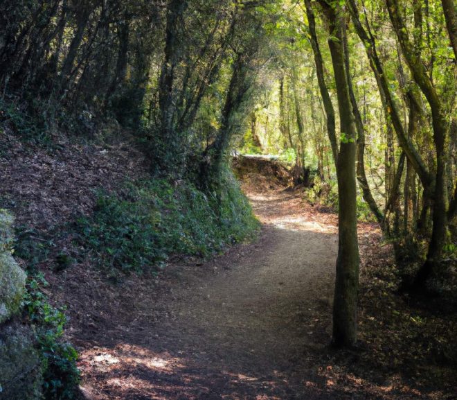 Découvrez les secrets du Chemin de Vie 5 en numérologie